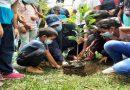 «Un Arbol por calle» sembrará 280 mil árboles en todo el país