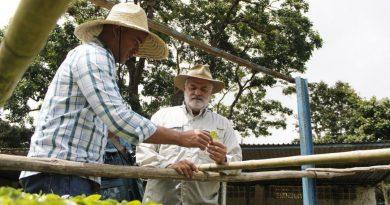 Ganadores del encuentro internacional de café proyectan sembrar 200 hectáreas