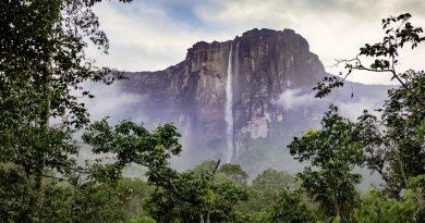 Venezuela ocupa el 10.° lugar entre los países con mayor biodiversidad.