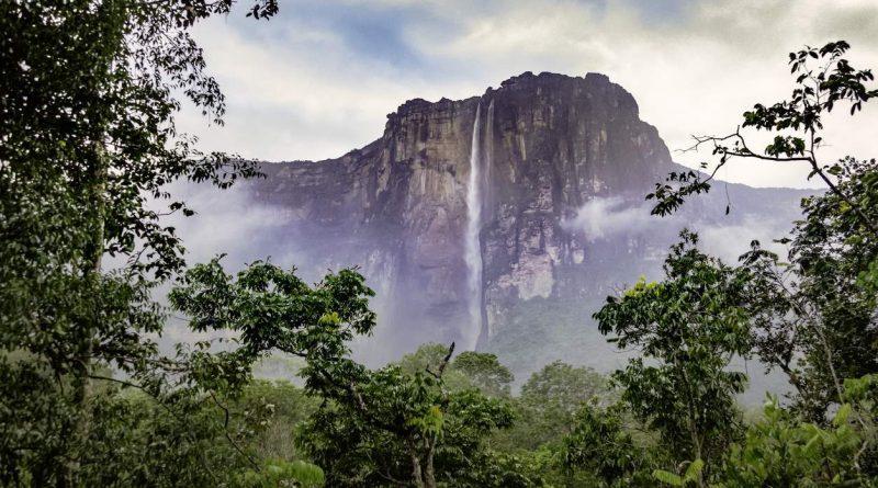 Venezuela ocupa el 10.° lugar entre los países con mayor biodiversidad.