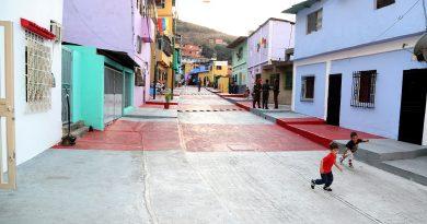 Gran Misión Barrio Nuevo, Barrio Tricolor entrega viviendas y hábitat rehabilitados en Guárico y Bolívar