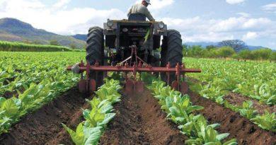 Jefe de Estado Venezuela avanza de manera sostenida con la actividad agrícola y comercial
