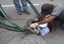 Corpoelec realiza labores de mantenimiento en San Bernandino