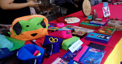 Emprendedores organizan 1ª Expoferia Navideña en Carabobo