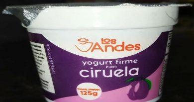 Lácteos Los Andes retoma producción de yogurt firme de ciruela en Mérida