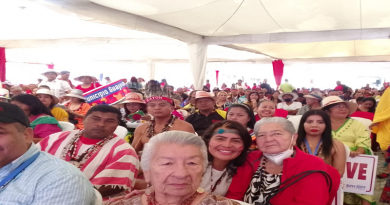 Vicepresidenta Ejecutiva Delcy Rodríguez exhorta a pueblos indígenas unir esfuerzos en defensa de la tierra