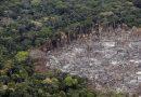Deforestación destruye unos 10 millones de hectáreas al año en Europa