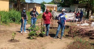 Zulia: Entregan semillas a huertos escolares en Miranda