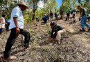 Jornada de reforestación sembró más de 32 mil árboles a nivel nacional