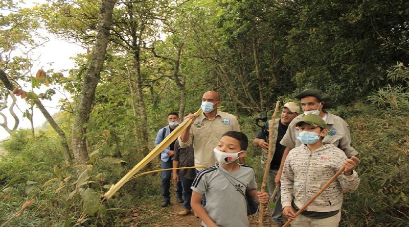 Palmeros de Chacao marcan inicio de Semana Santa con primera poda