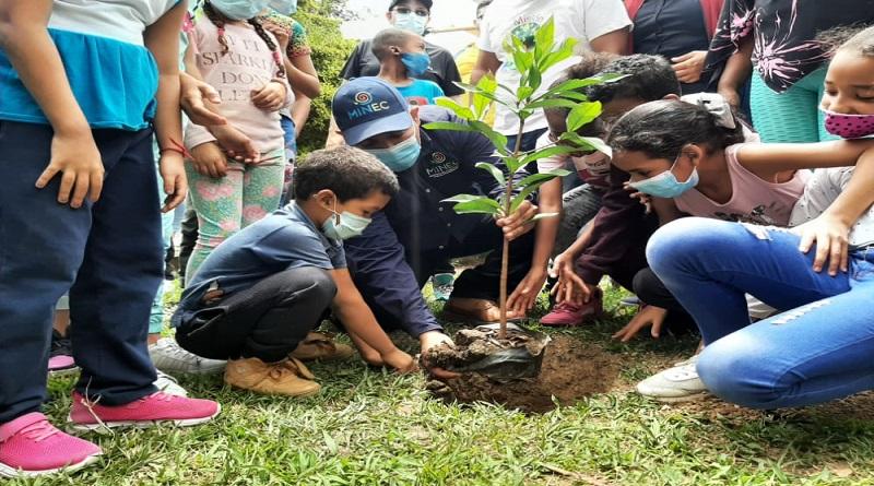 «Un Arbol por calle» sembrará 280 mil árboles en todo el país