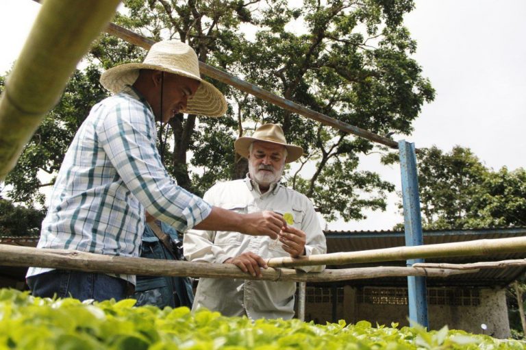 Ganadores del encuentro internacional de café proyectan sembrar 200 hectáreas