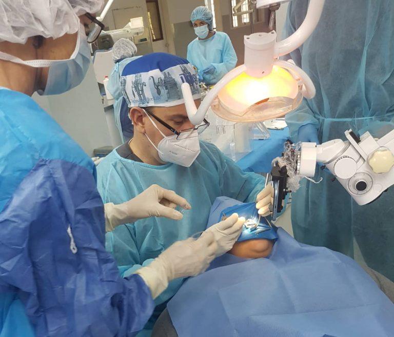 regeneración de pulpa dental con células madres