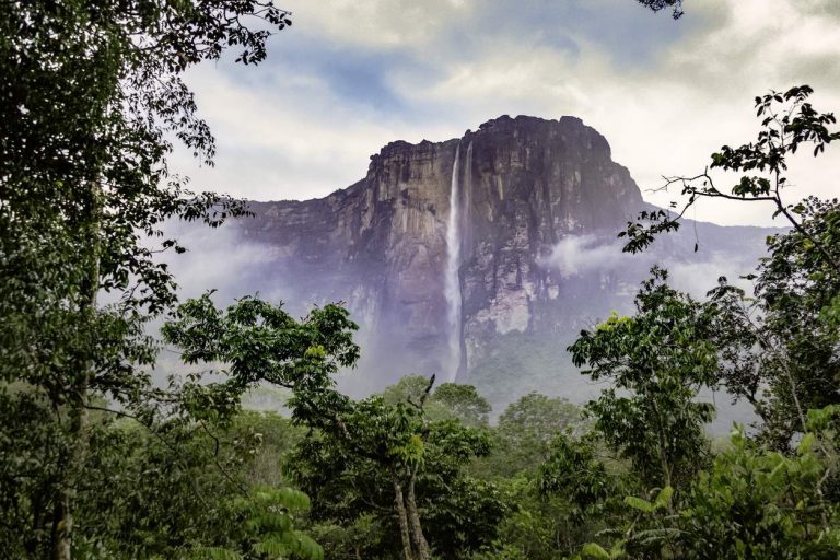 Venezuela ocupa el 10.° lugar entre los países con mayor biodiversidad.