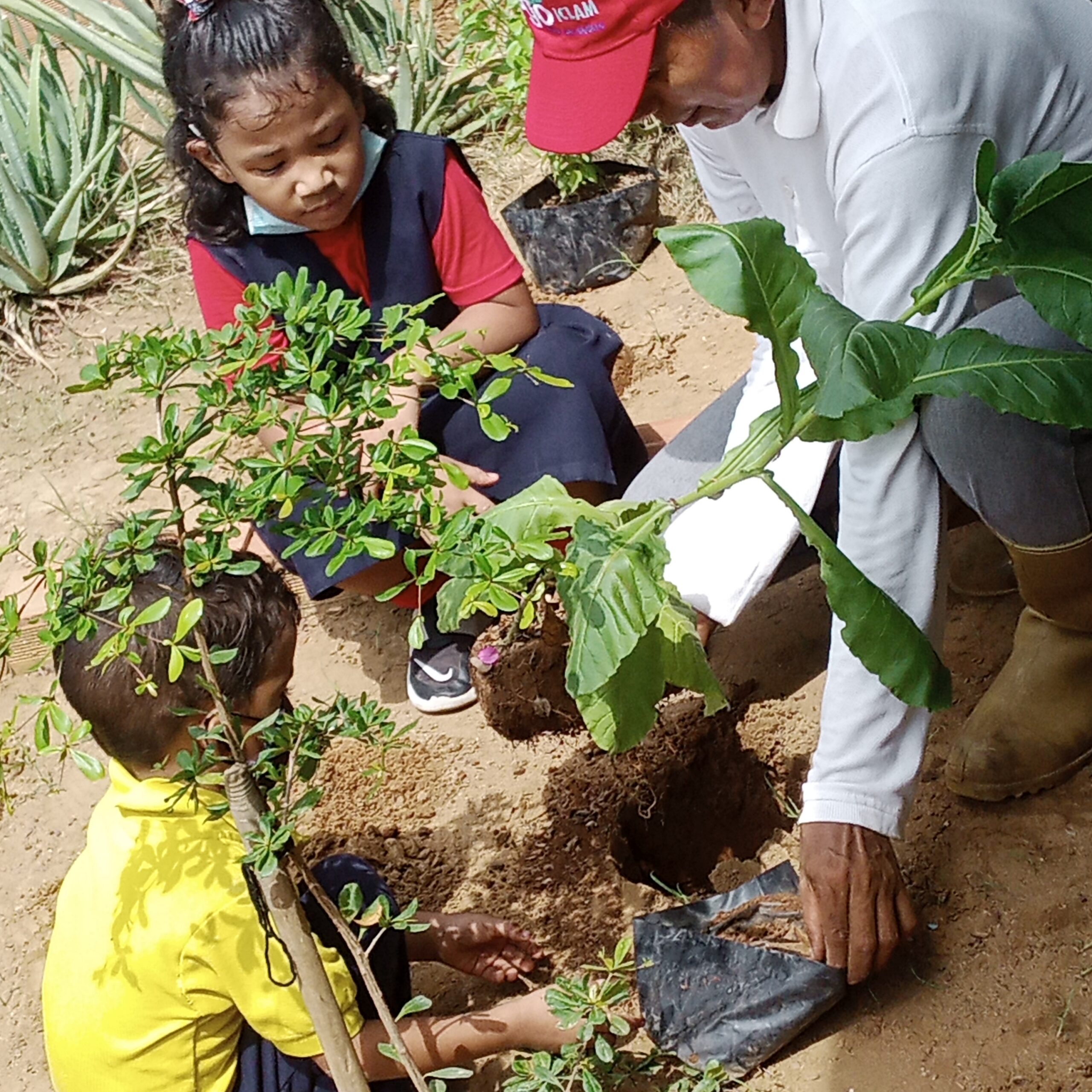 Plan Nacional de Reforestación siembra plantas en centros educativos en Zulia