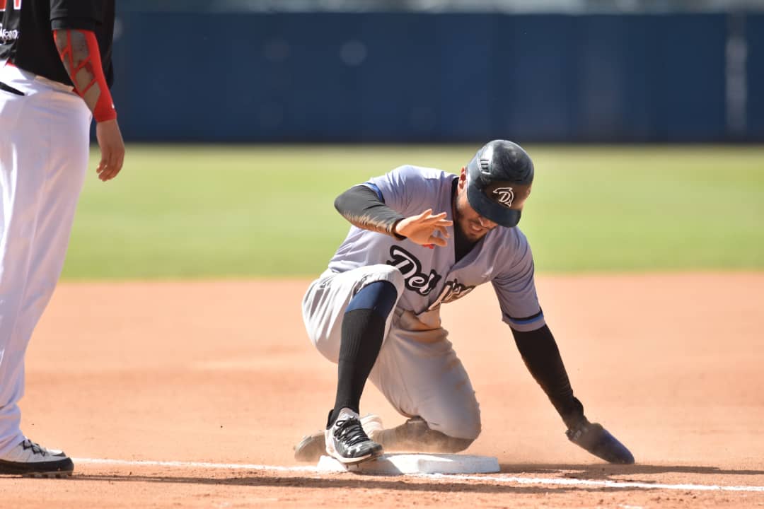 Delfines comanda la Liga Mayor de Béisbol Profesional