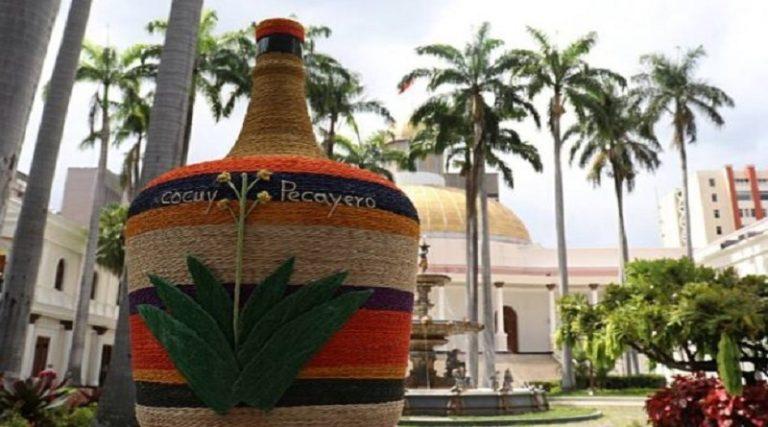 AN instala Comisión Especial para Protección de Producción del Agave Cocui-Cocuy