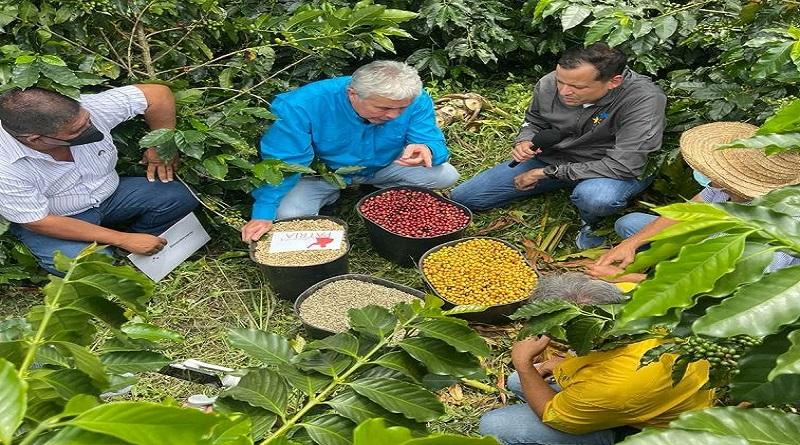 Banco Bicentenario avanza en la entrega de créditos para productores de café en Portuguesa