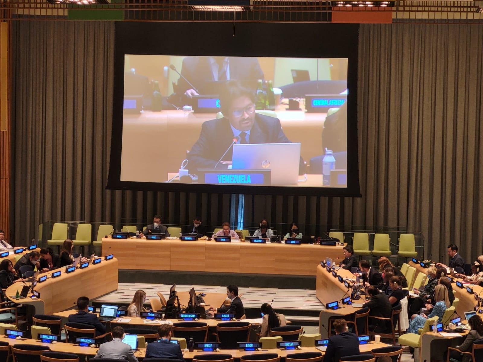 Venezuela participa en sesión de la ONU contra uso de las TIC con fines delictivos