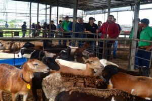 Evalúan avances de empresa de producción agrícola en Guárico