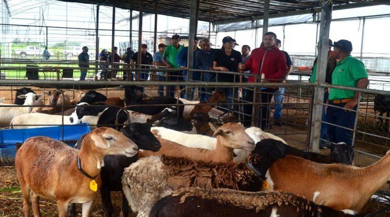 Evalúan avances de empresa de producción agrícola en Guárico