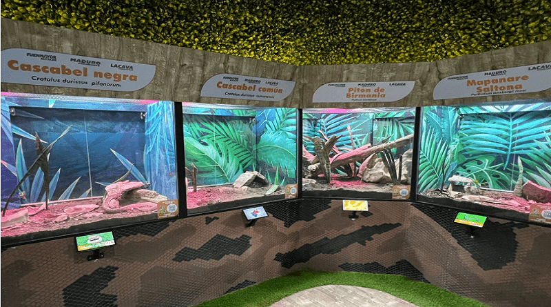 Reinauguran Serpentario del ZooAquarium en Valencia