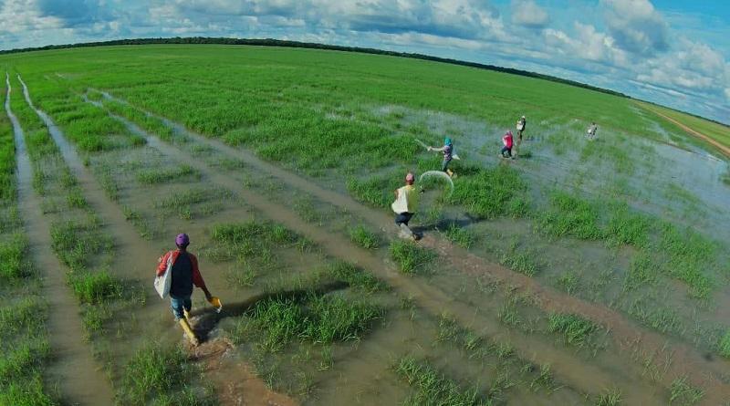 Fortalecen lazos internacionales en pro del desarrollo productivo en Guárico