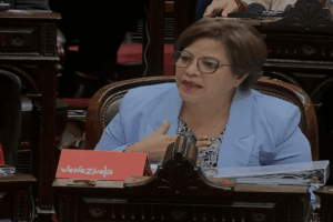 Diputada Asia Villegas exige levantamiento del bloqueo contra Venezuela en foro de Argentina