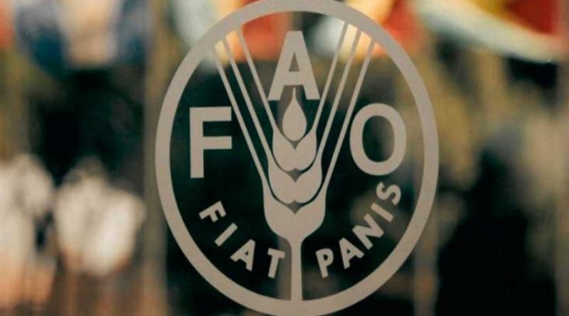 FAO llama a reforzar integración regional para fortalecer la agricultura familiar