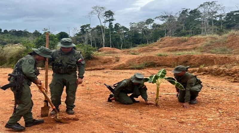 Plan Nacional de Reforestación avanza para preservar el ambiente en el país