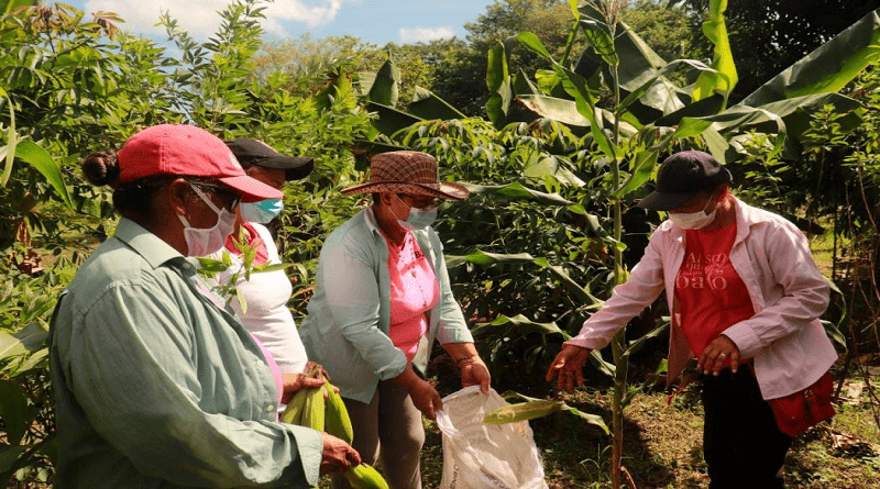 Mujeres productoras impulsan la economía nacional desde las bases
