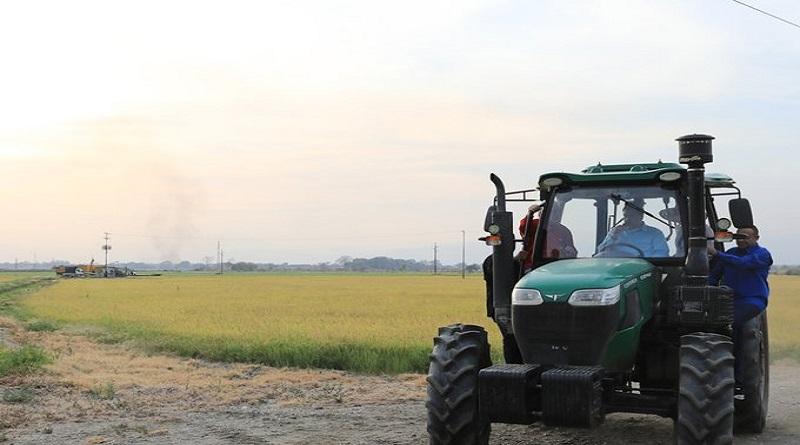 Jefe de Estado: Gran Misión AgroVenezuela avanza en el crecimiento de la producción nacional