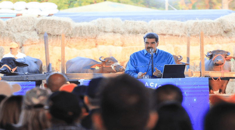Mandatario nacional: «Venezuela está renaciendo con una nueva economía productiva»
