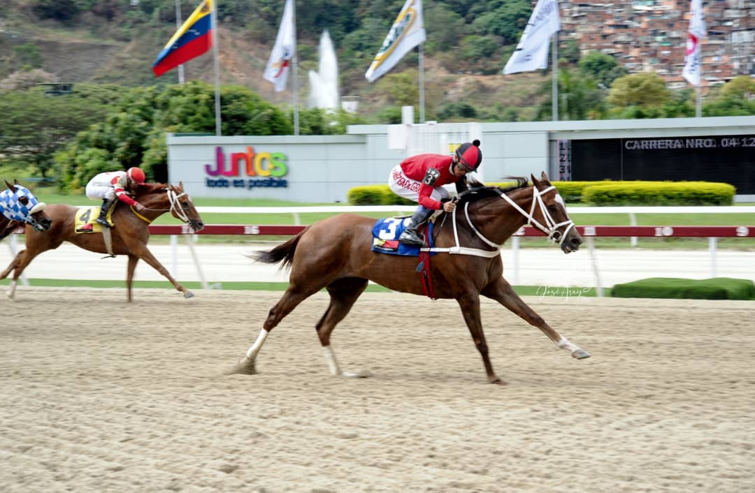 Programadas diez carreras en Caracas