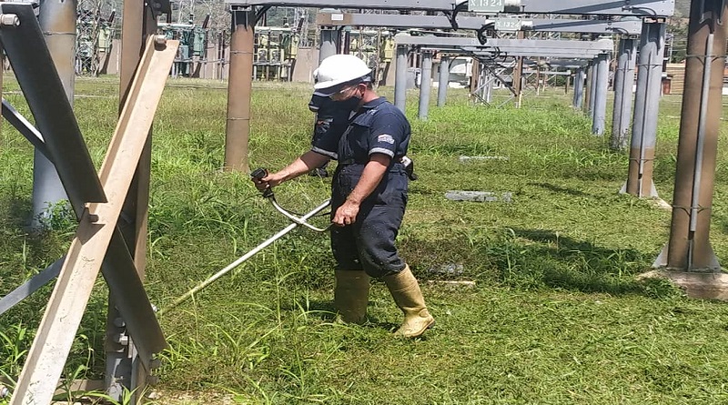 Corpoelec realizará Plan de Desmalezamiento de Vegetación en el país