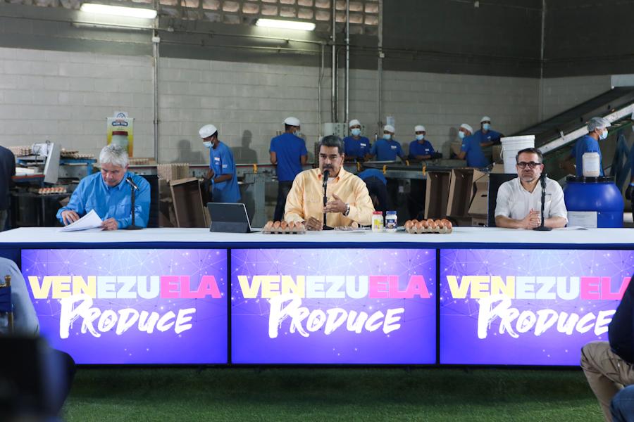 Venezuela destaca en la cría de ganado bufalino de calidad