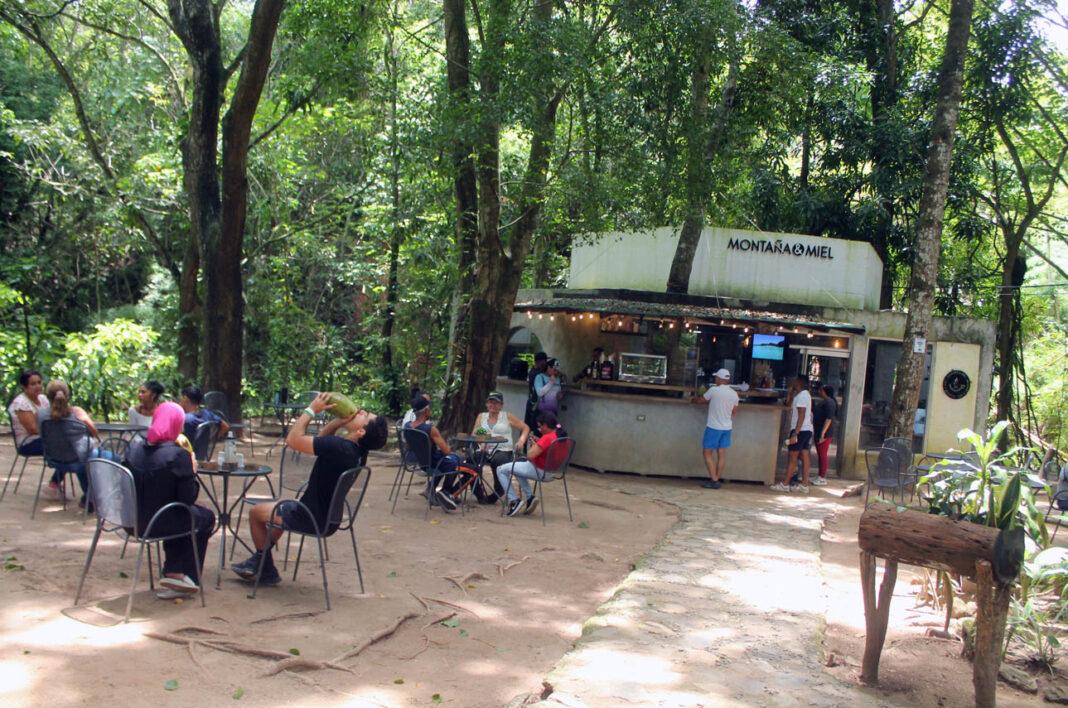 Cerro El Casupo: destino familiar para amantes de la naturaleza