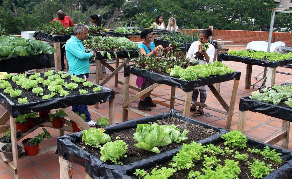 Ministerio de Comercio Nacional otorgará certificaciones de calidad a producción agrourbana