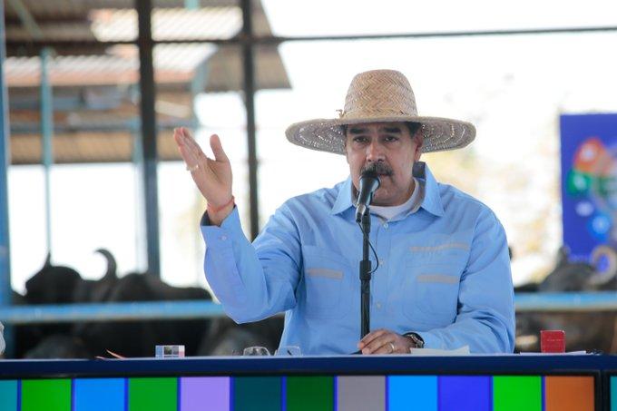 Sector camaronero proyecta crecimiento de 20% en 2024