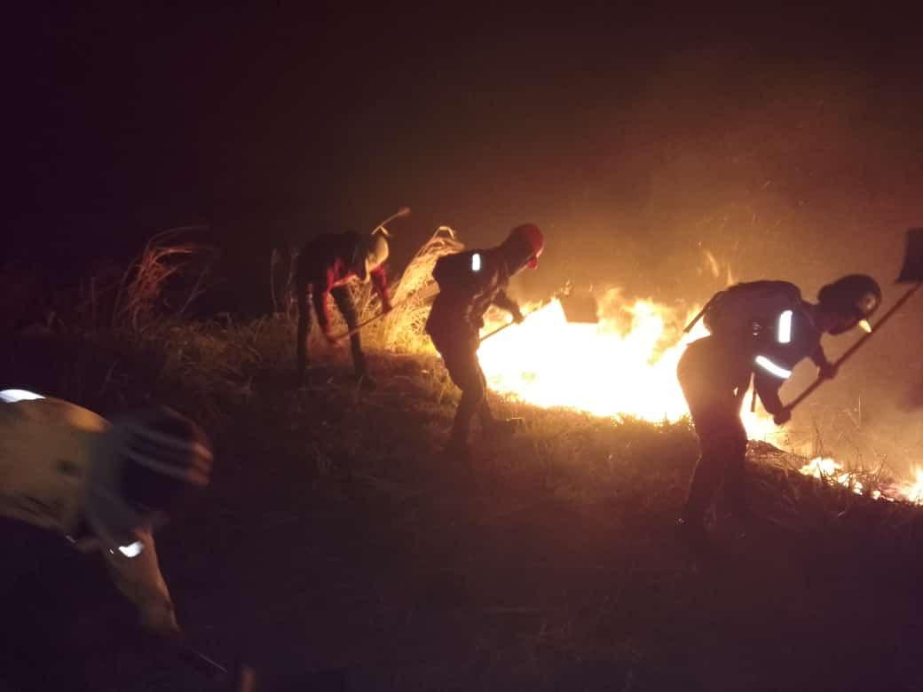 Ministro Josué Lorca: 12 personas detenidas por provocar incendios forestales