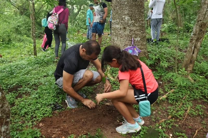 En el Día del Árbol realizan jornada de reforestación en el Cerro Casupo de Valencia