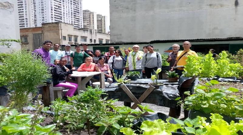 Producción de alimentos en Caracas impulsa economía nacional