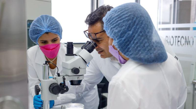 Head of State approves 1,300 postgraduate scholarships for scientific studies