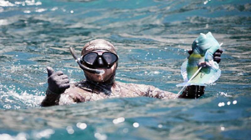 Nueva Esparta albergará la II Válida Nacional de Pesca Submarina