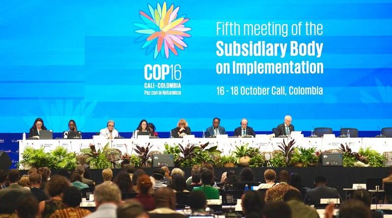COP16: Países en desarrollo están atrapados en crisis de deuda y cambio climático