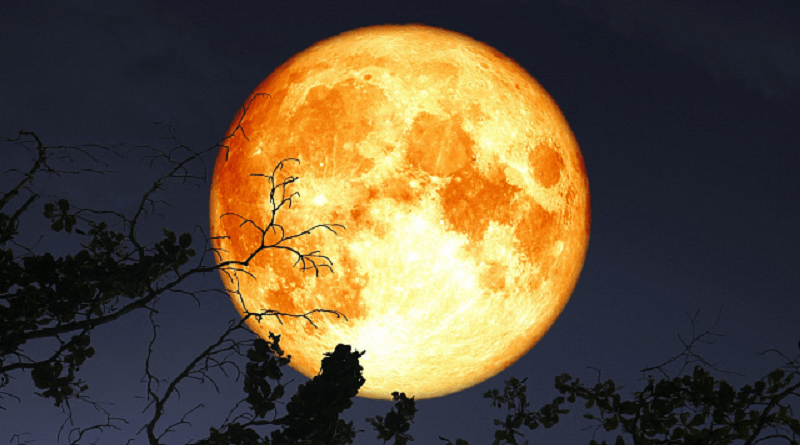 Última Superluna del 2024 iluminará el cielo el 14 de noviembre