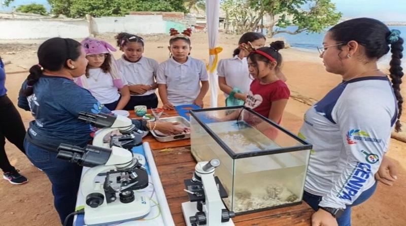 Jóvenes exploran mundo marino en ruta científica de Anzoátegui