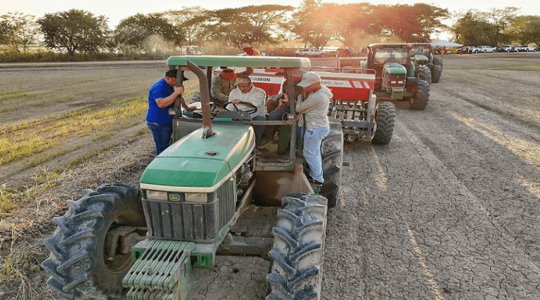 Comienza siembra de arroz con proyección de más de 48 mil hectáreas en Guárico