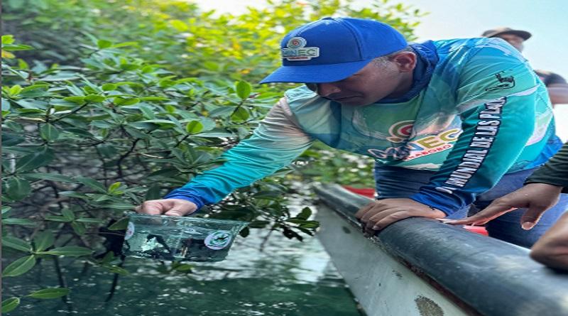 Avanzan acciones para la conservación de especies marinas en peligro de extinción