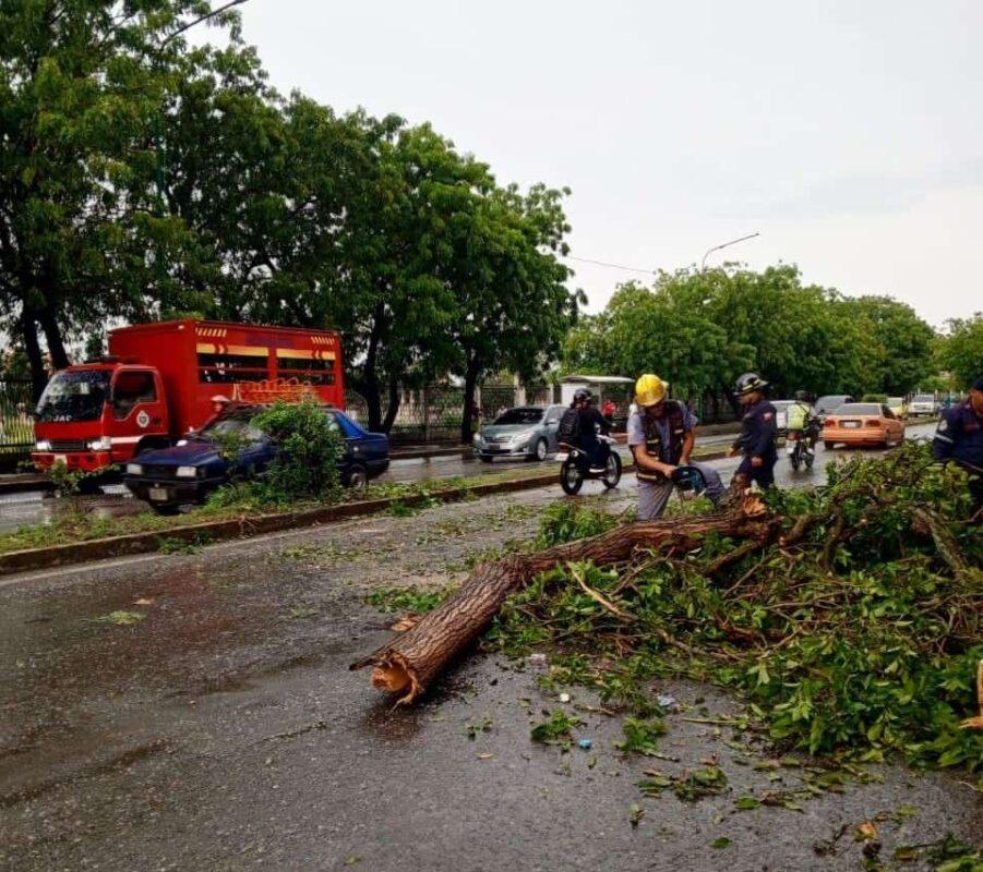 Protección Civil atiende afectaciones por lluvias en Barquisimeto